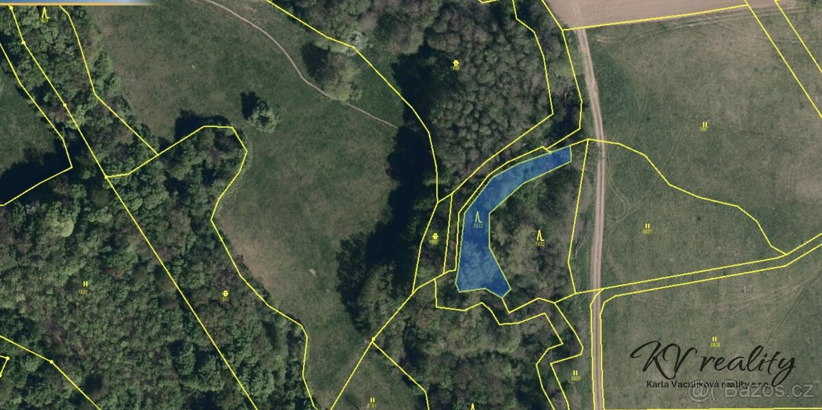 Prodej pozemek, les, CP 3317 m2, Hřivínův Újezd - 2