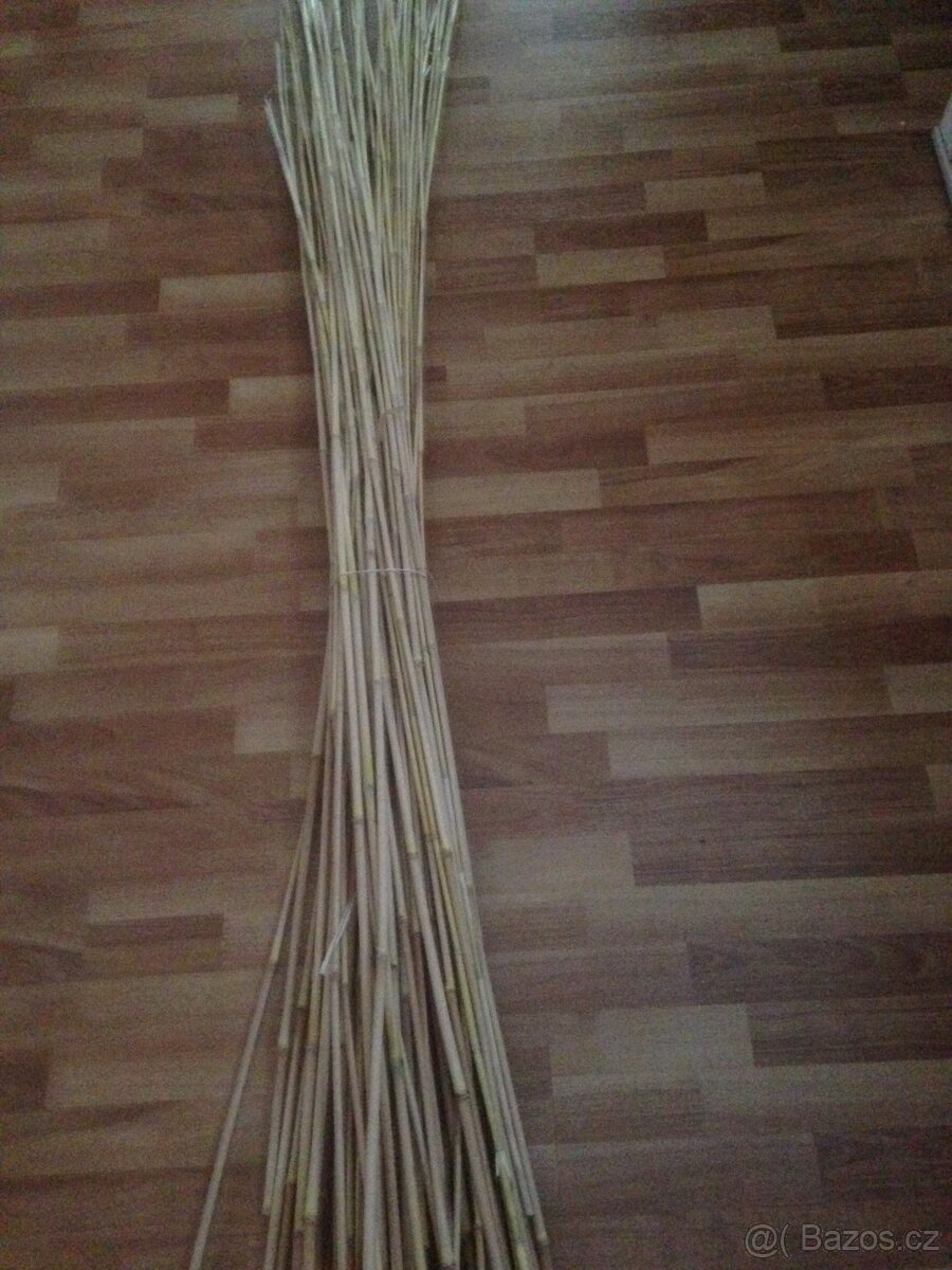 Bambusové tyče - 2