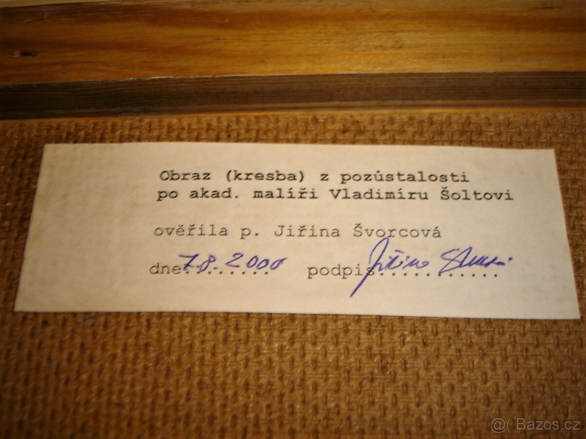 VLADIMÍR ŠOLTA... - 2