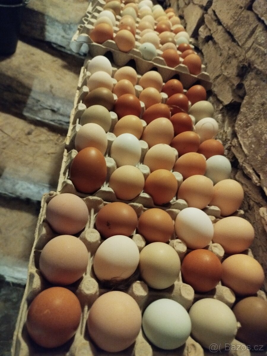 Vajíčka - 2