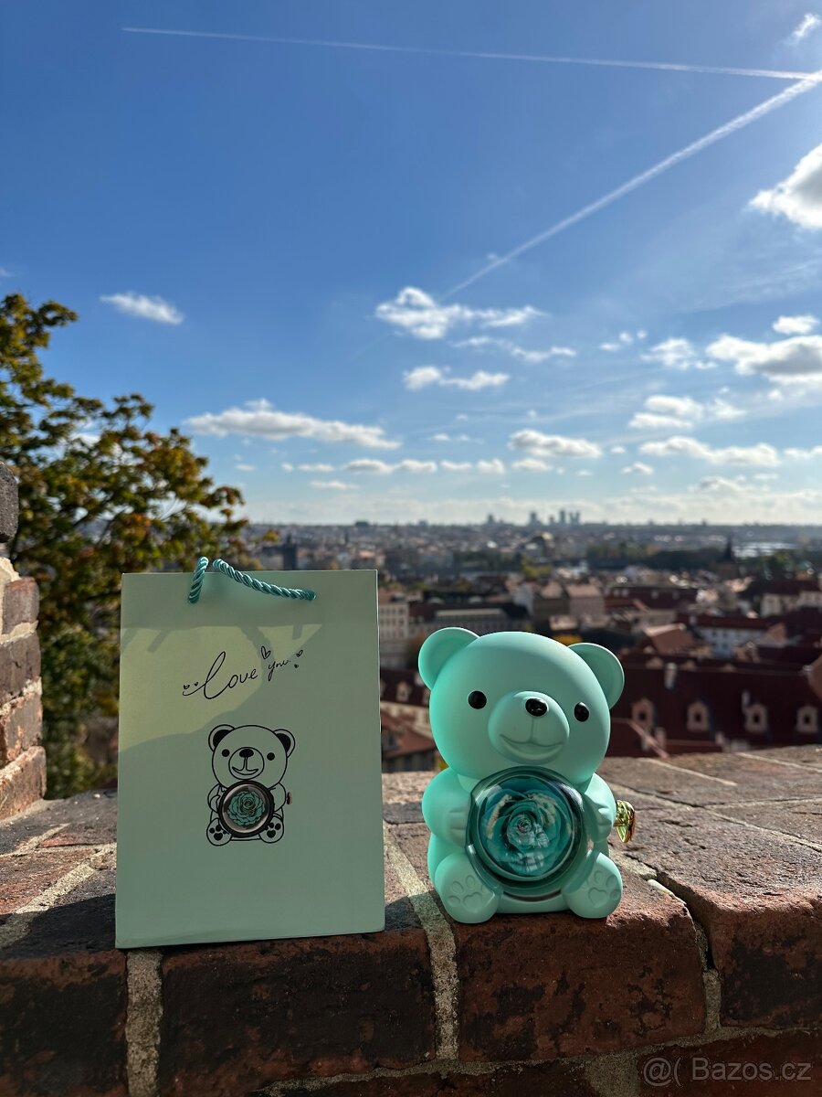 Dárkový medvídek - 2