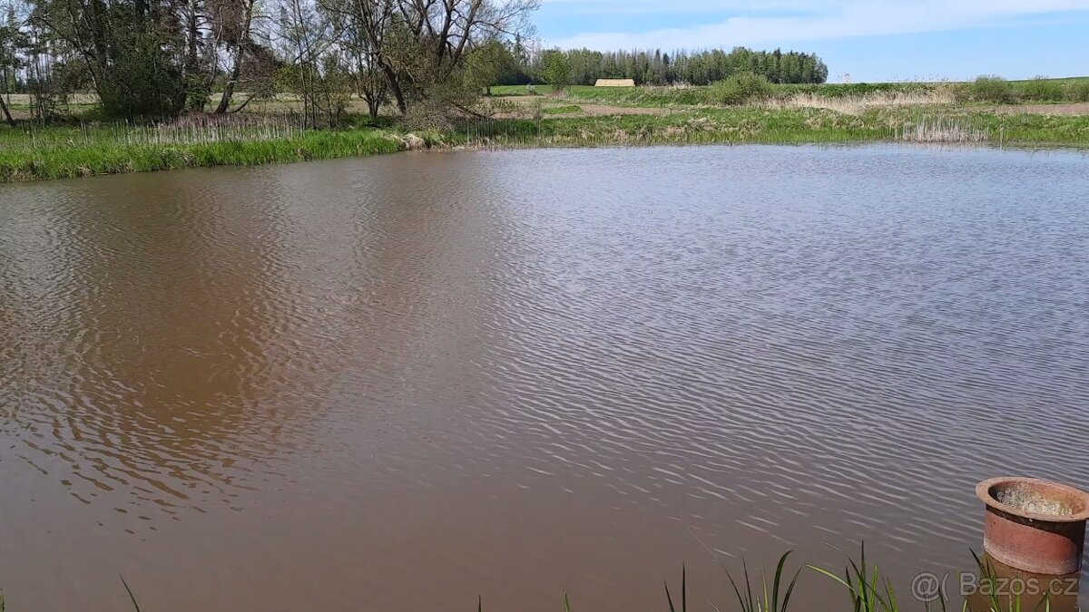 Pronájem rybníku - 2
