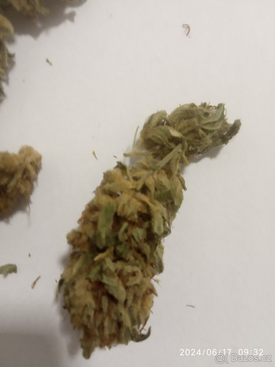 Prodám květy CBD - 2