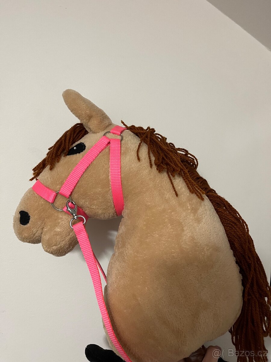 Hobby horse - 2
