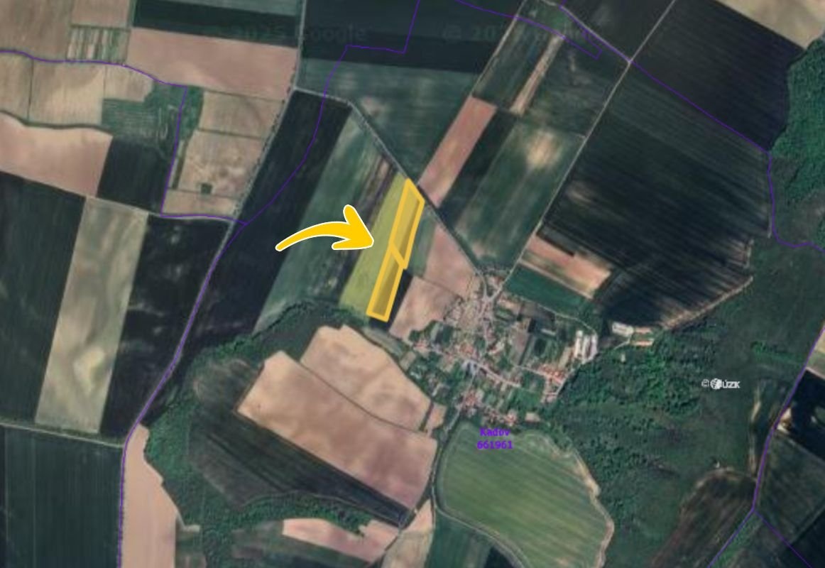 Prodej podílu 1/10 pole 3 881 m², Kadov - 2