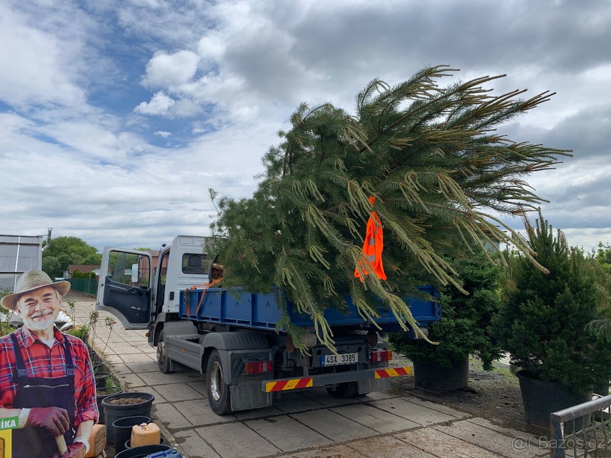 Zemní práce zahrady Praha Benešov Tábor - výkopové práce - 2