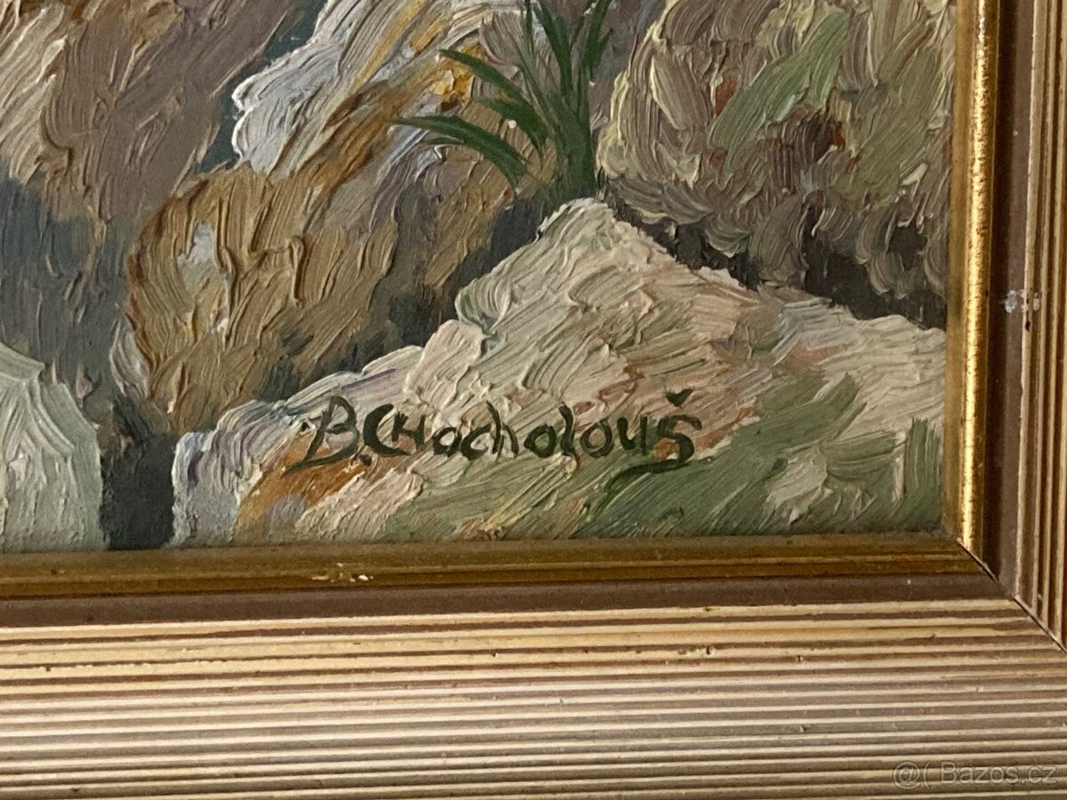 Obrazy a myslivecké obrázky - 2