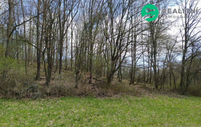 Prodej dvou pozemků, celkem 2172 m2 Hradčovice (okr... - 2
