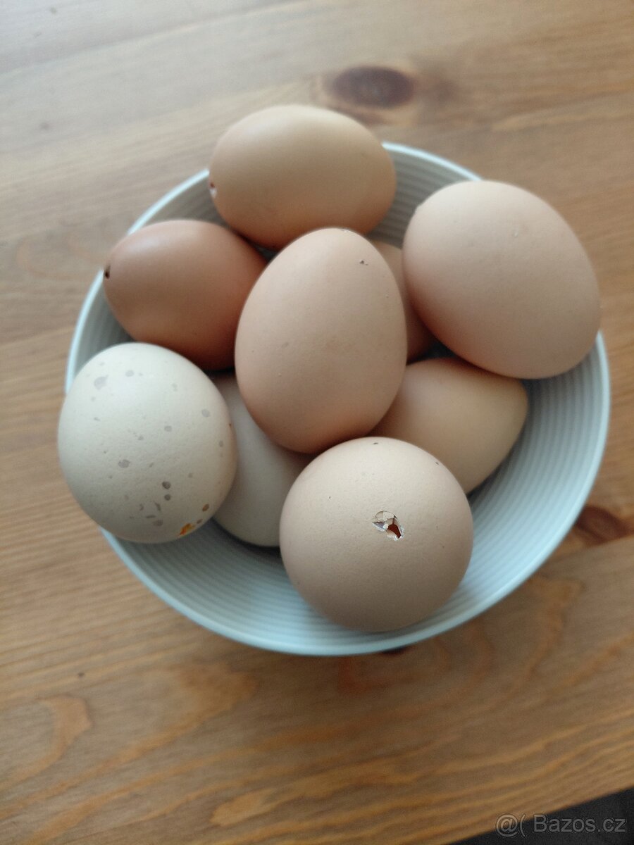 Vaječné skořápky, výdutky, vyfouklá vajíčka - 2