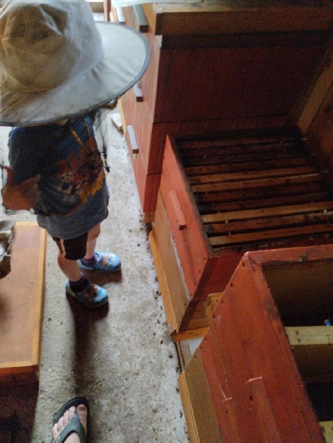 Vyzimované oddělky - 2