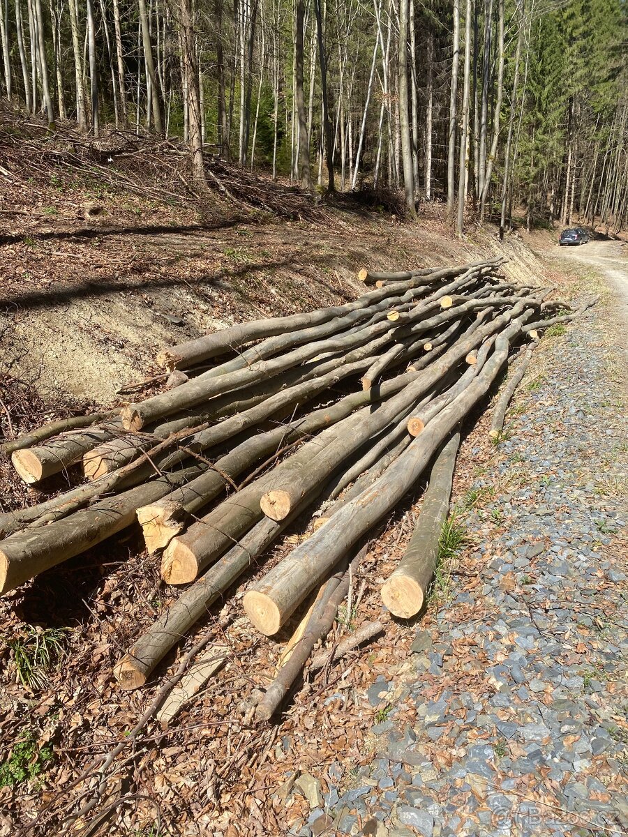 Palivové dřevo buk - 2