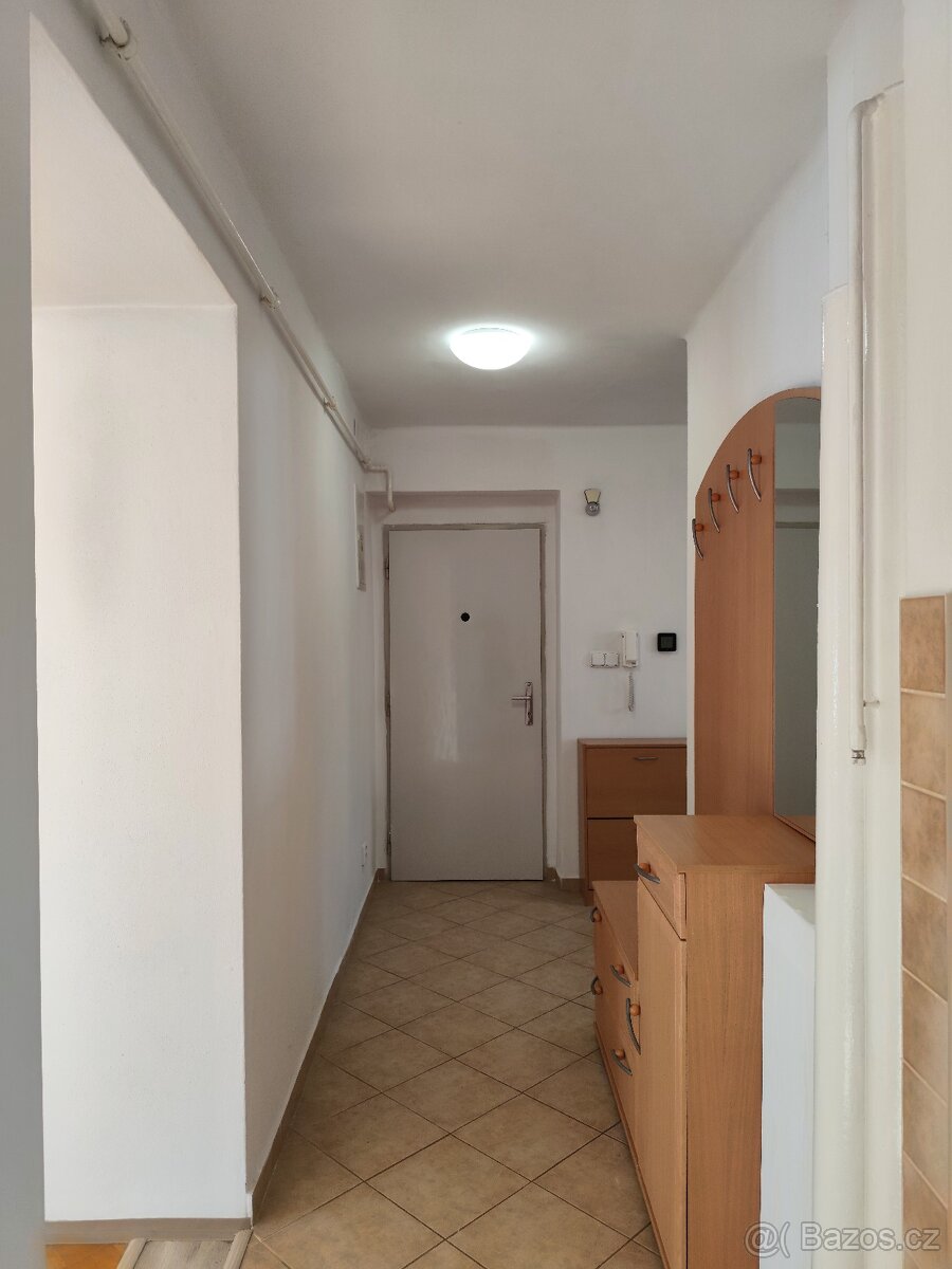 Pronajmu byt 2+1 - 2