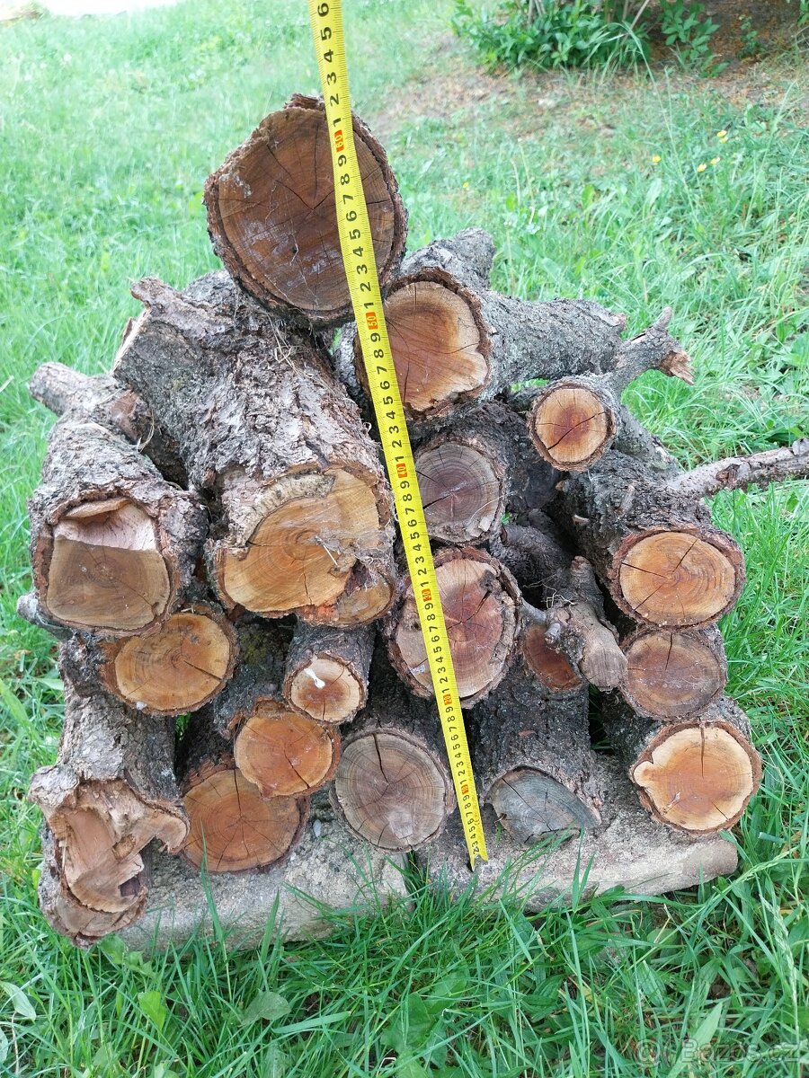 Dřevo meruňkové suché na grilování a uzení - 2