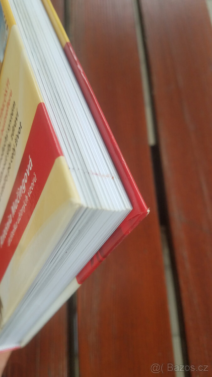 Zhubnětte jednou provždy 1 - Ántonie Mačingová - 2