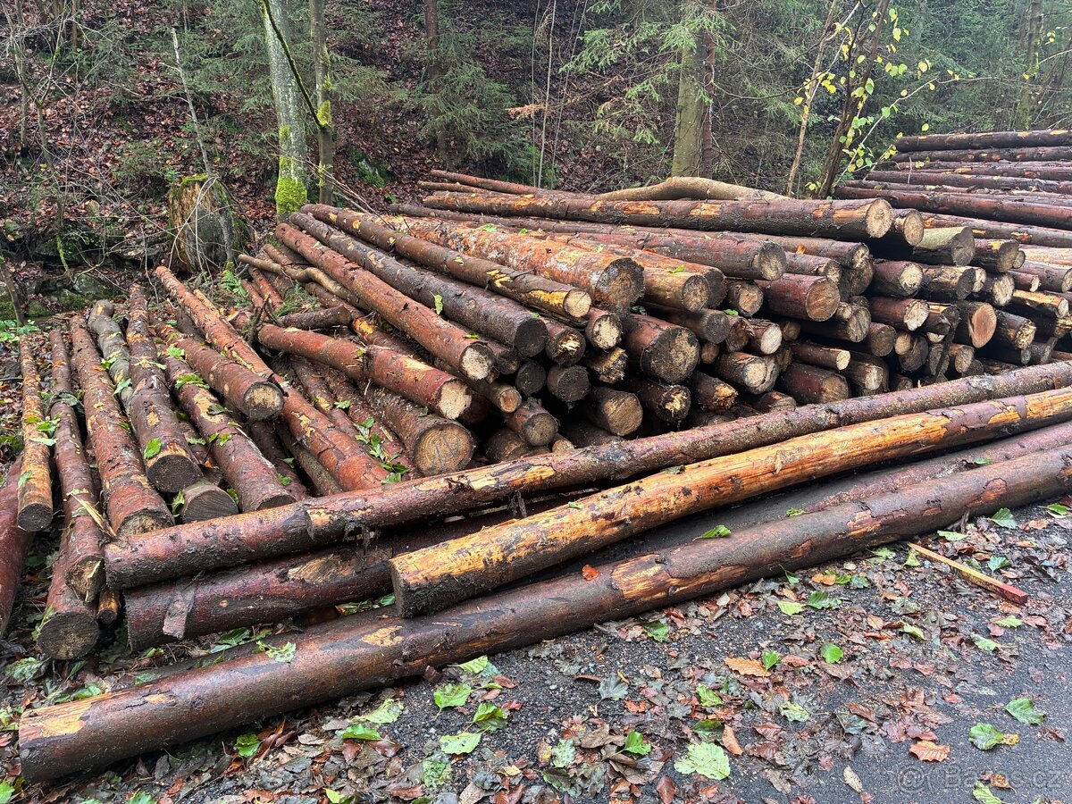 měkké palivové dřevo - 2