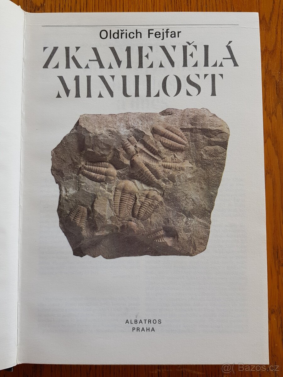 Zkamenělá minulost - 2