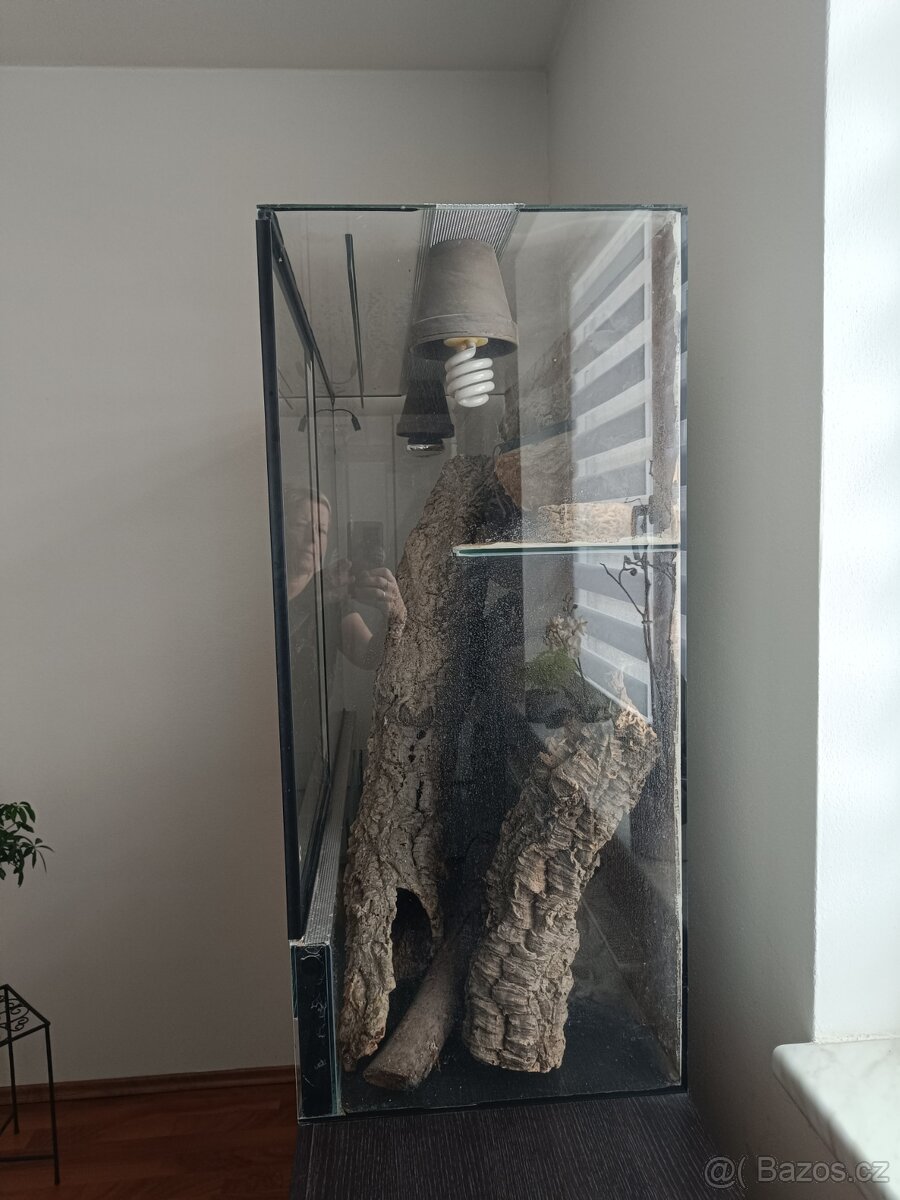 Prodám terárium - 2