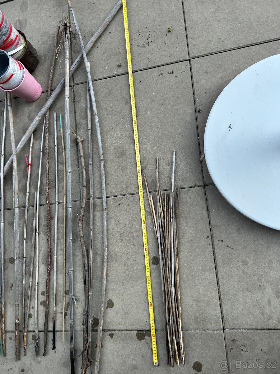 Sada pro sazenice - 2