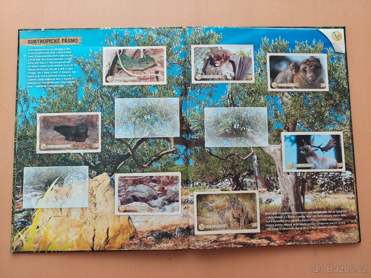 Za zvířátky kolem světa -Penny - Poptávka - 2