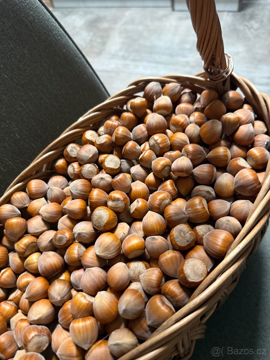 Liskove orechy neloupane - 2
