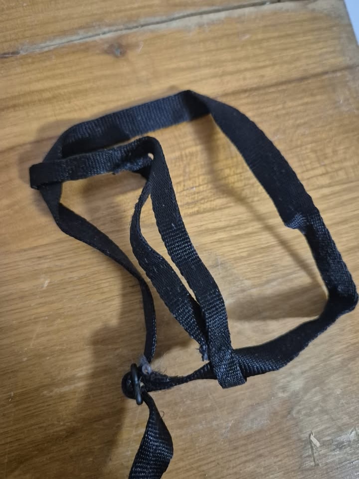 Kšíry na papoušky AVIATOR - 2