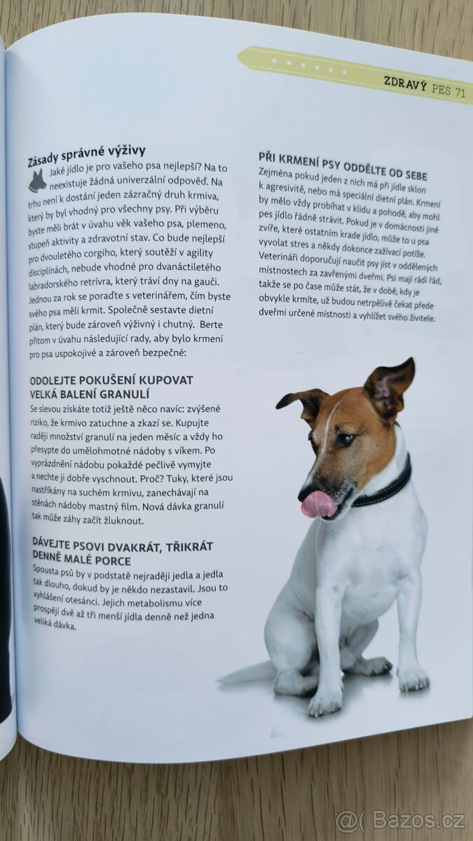 Prodám knihu Zdravý pes - 2