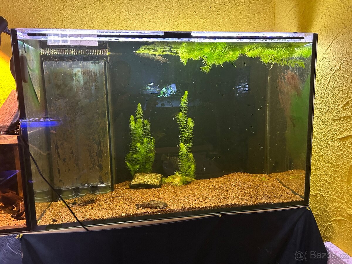 Prodám sestavu akvárií - 2