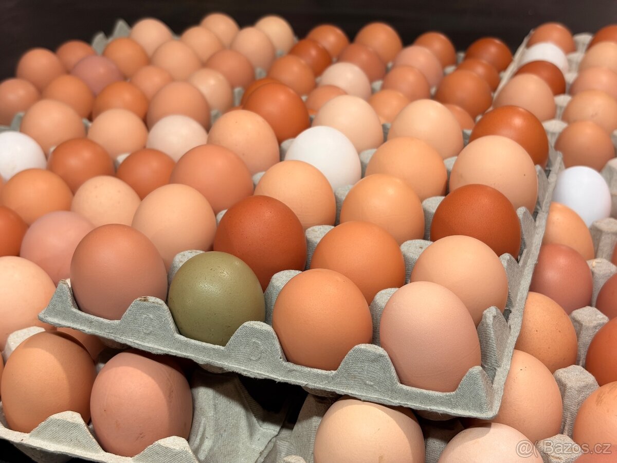 Domácí vejce - 2