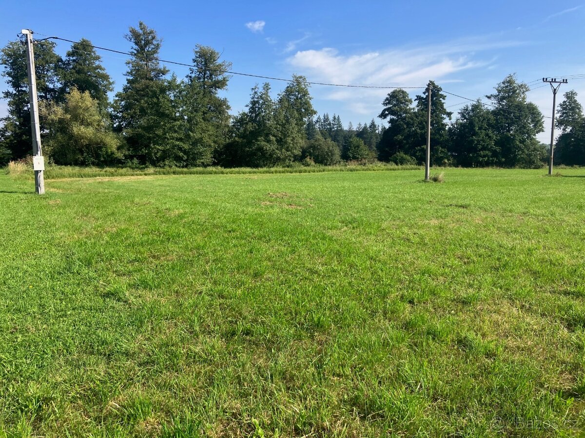 Pozemek ve Vodňanech - 2