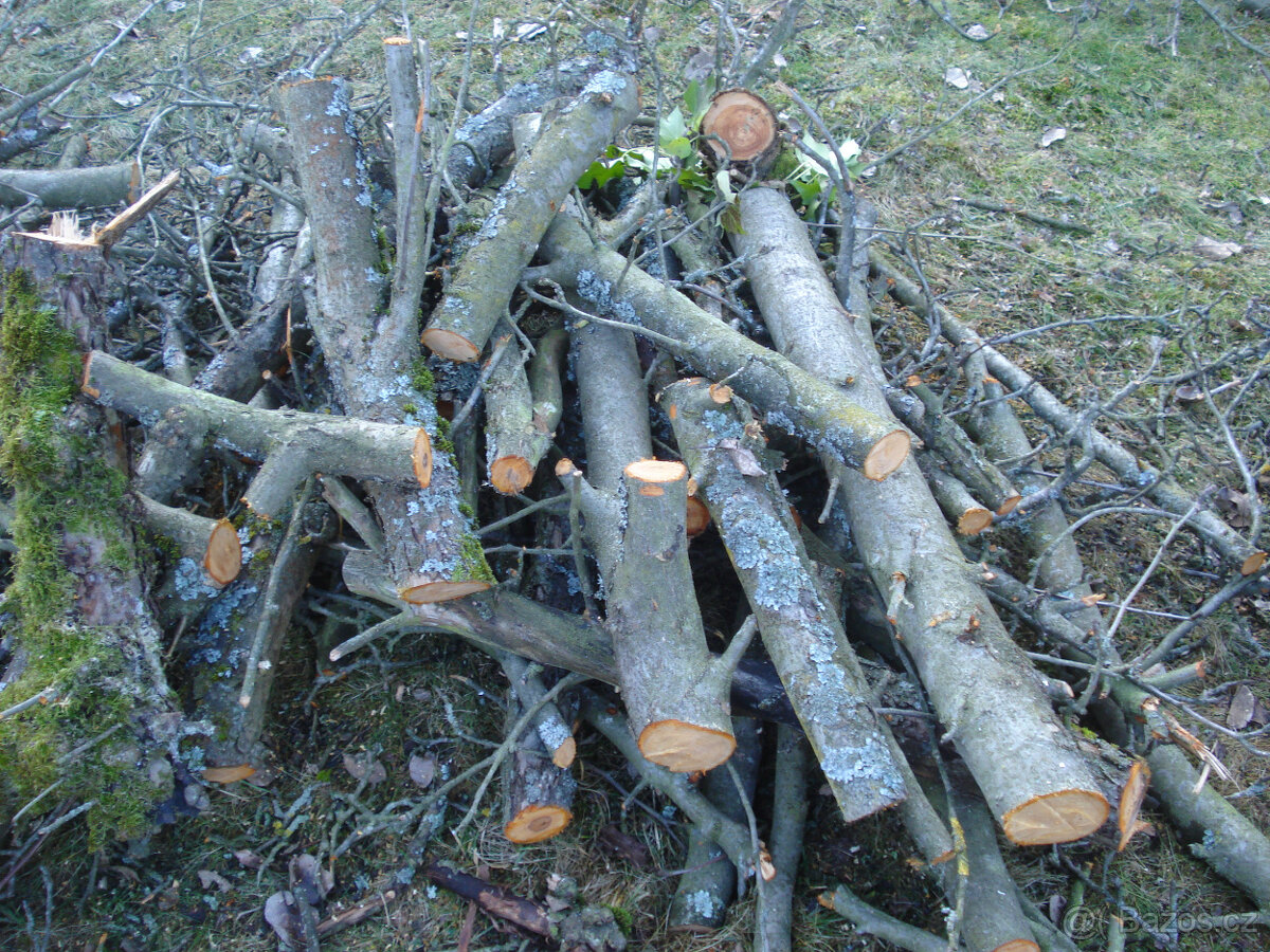 Dřevo na uzení - jabloň - 2