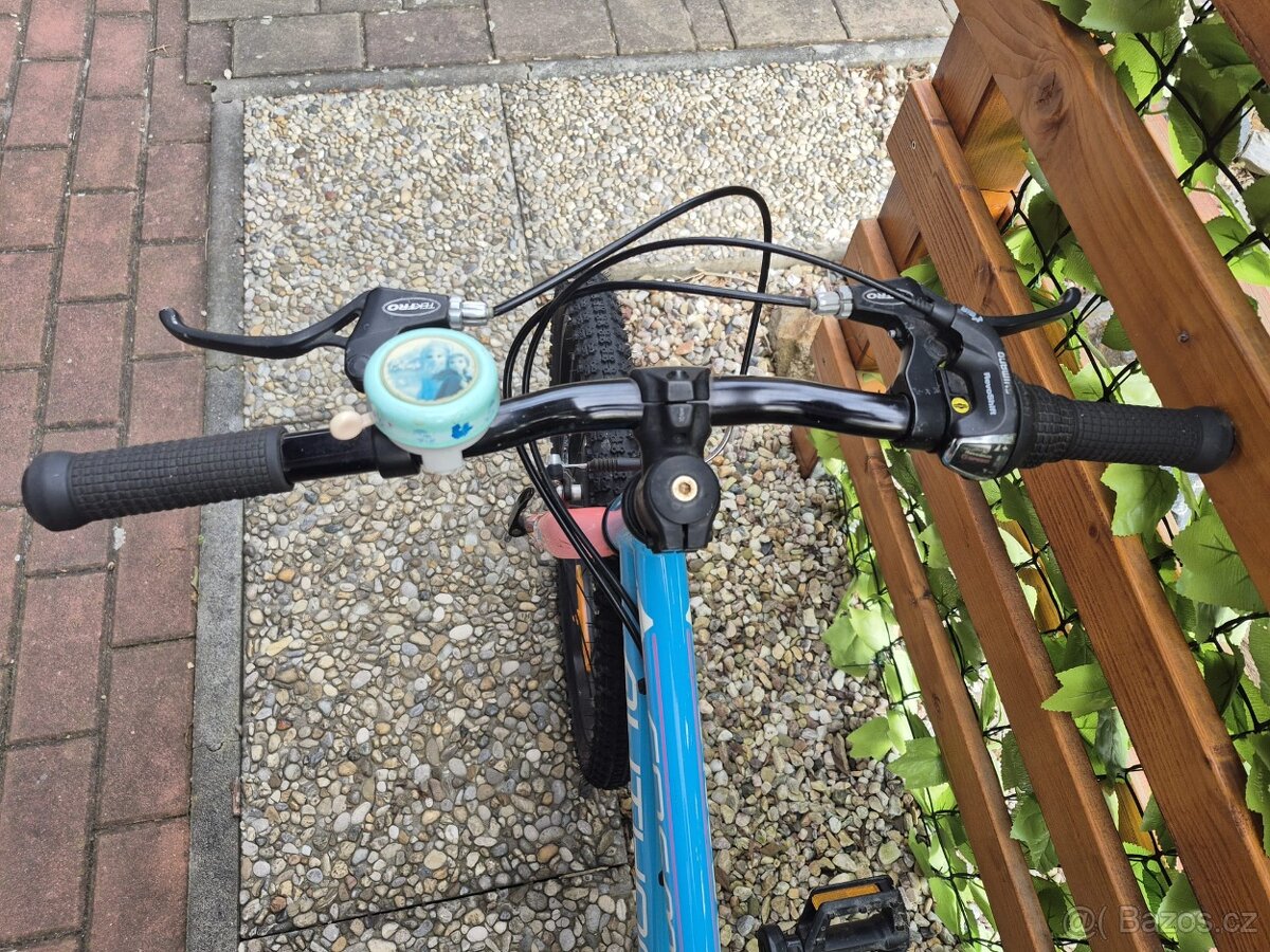 Author Cosmic 20' - 2