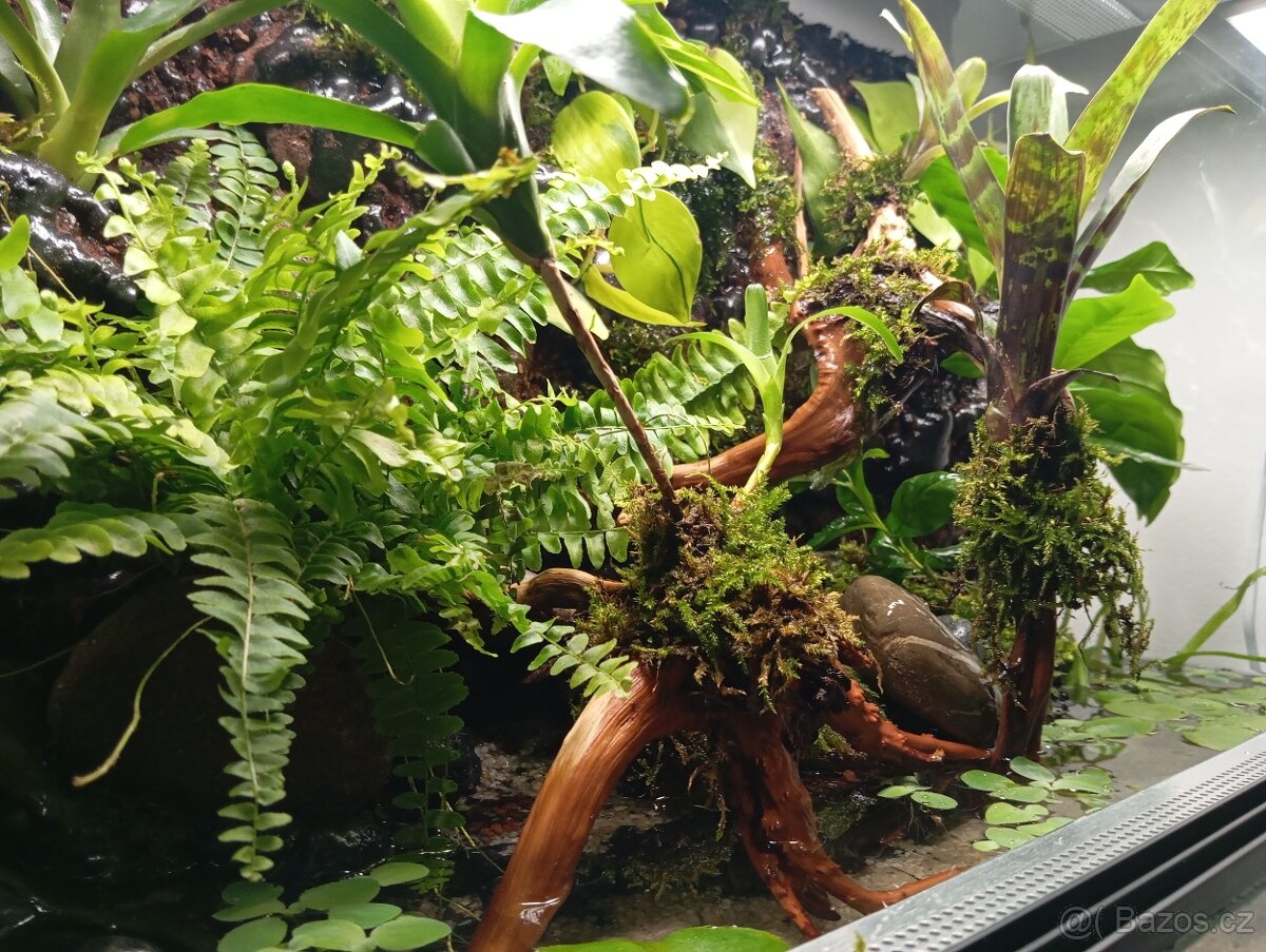 NOVÉ vybavené PALUDÁRIUM s vodopádem - 2