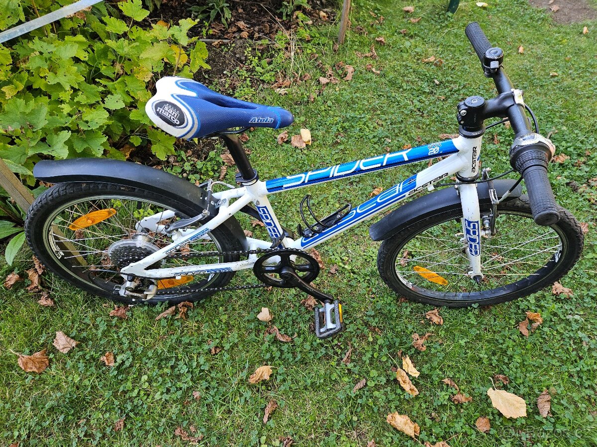 Dětské kolo Spider, 20' - 2