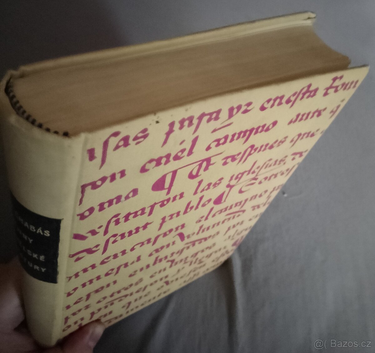 Dějiny španělské literatury - Juan Chabás - 2