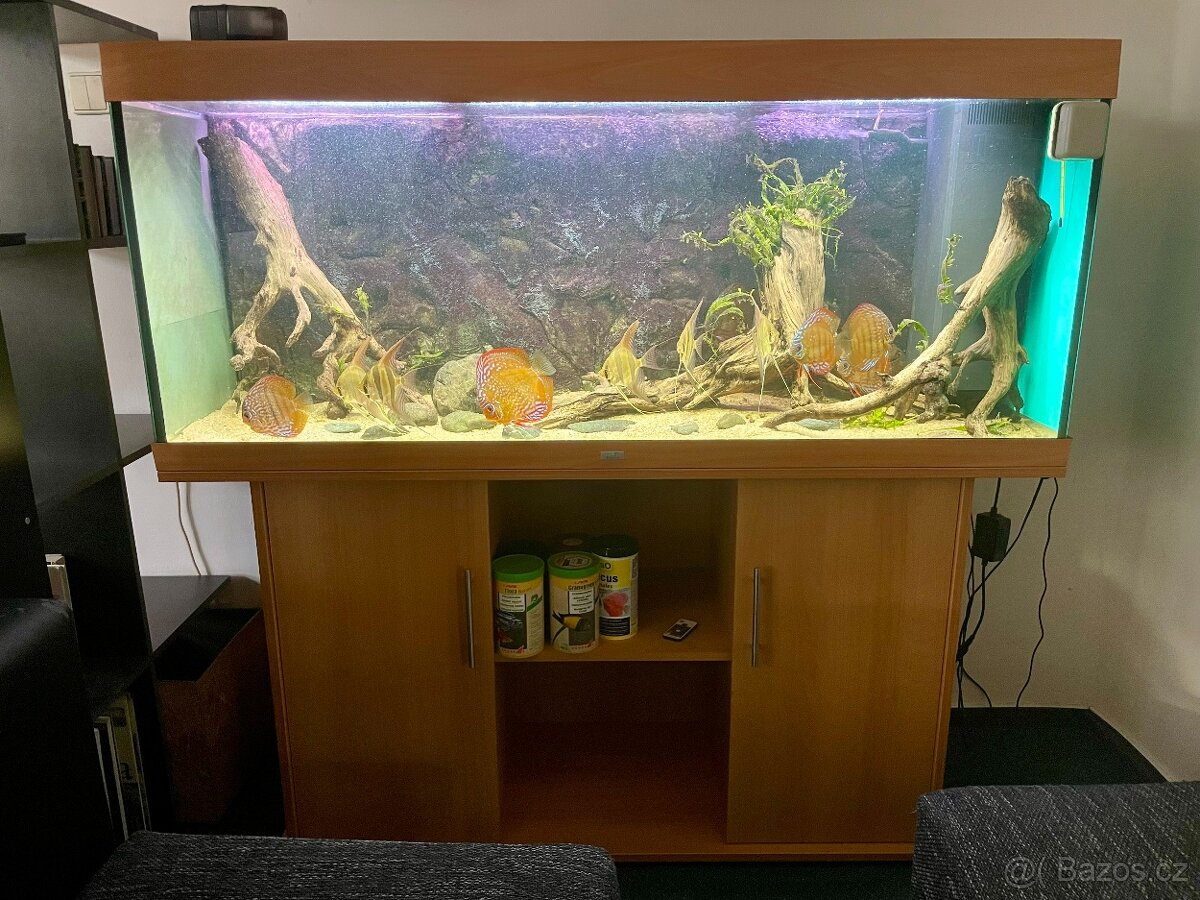 Akvarium Juwel 450l - 2