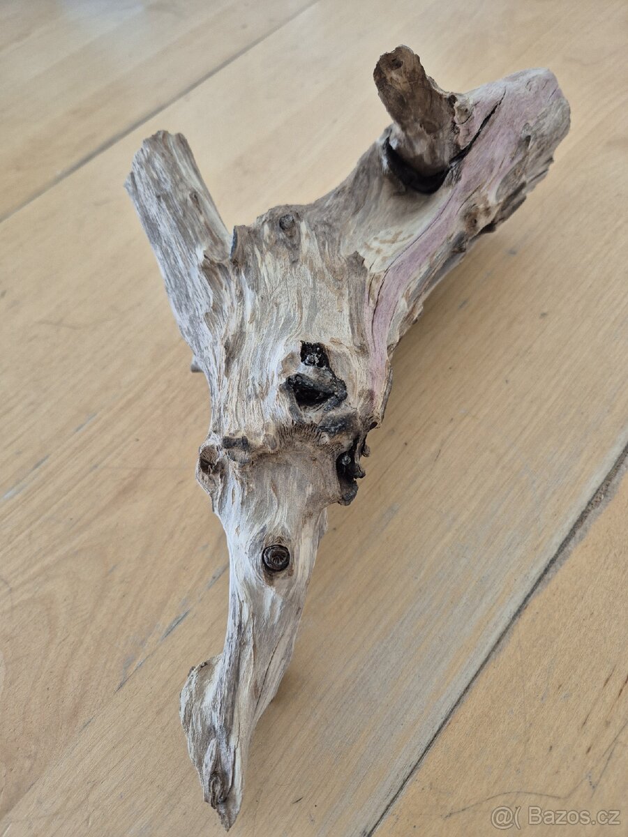 Akvarijní kořen 30 cm - 2