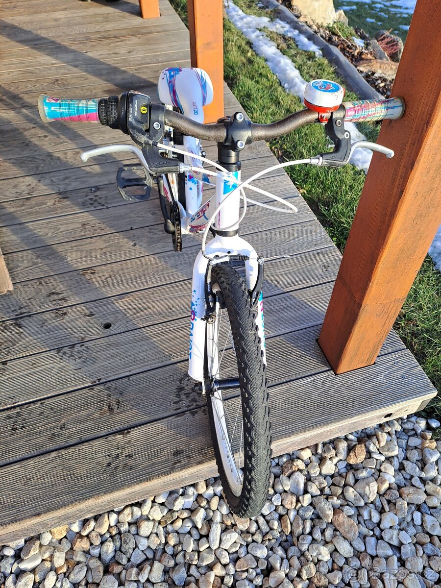 Superior Paint 20"- PĚKNÉ - 2