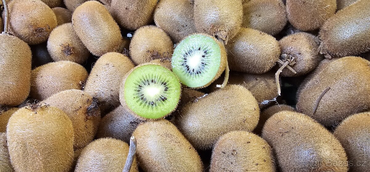 Domácí BIO kiwi - 2