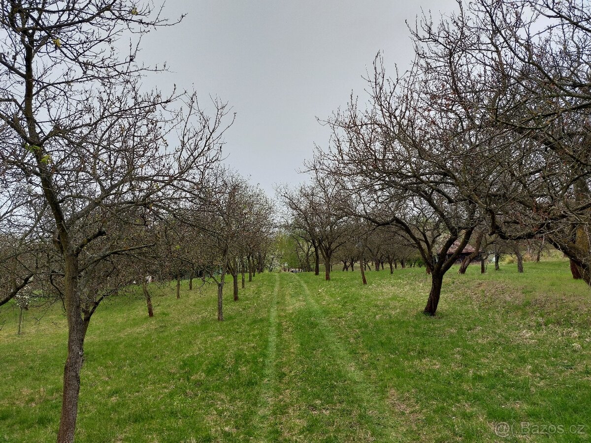 Pozemek s možností stavby chaty - 2