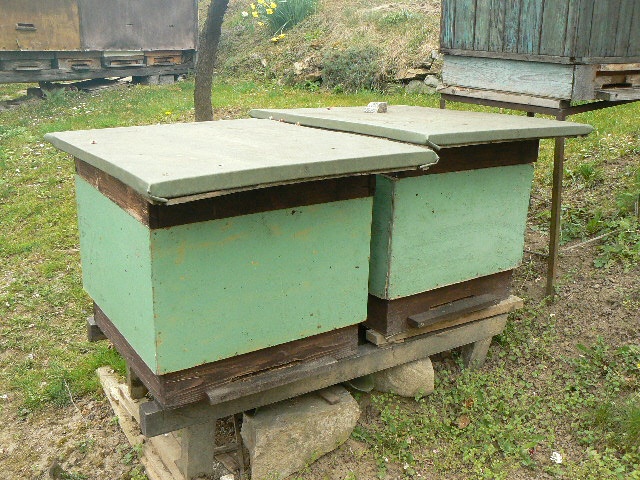 Prodám včelstva Šumperk - 2