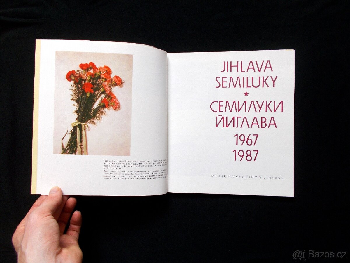 JIHLAVA - Semiluky ( rozfoceno 16 snímků ) - 2