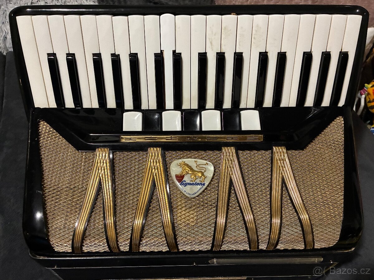 Harmonika Delicia Lignatone - 2