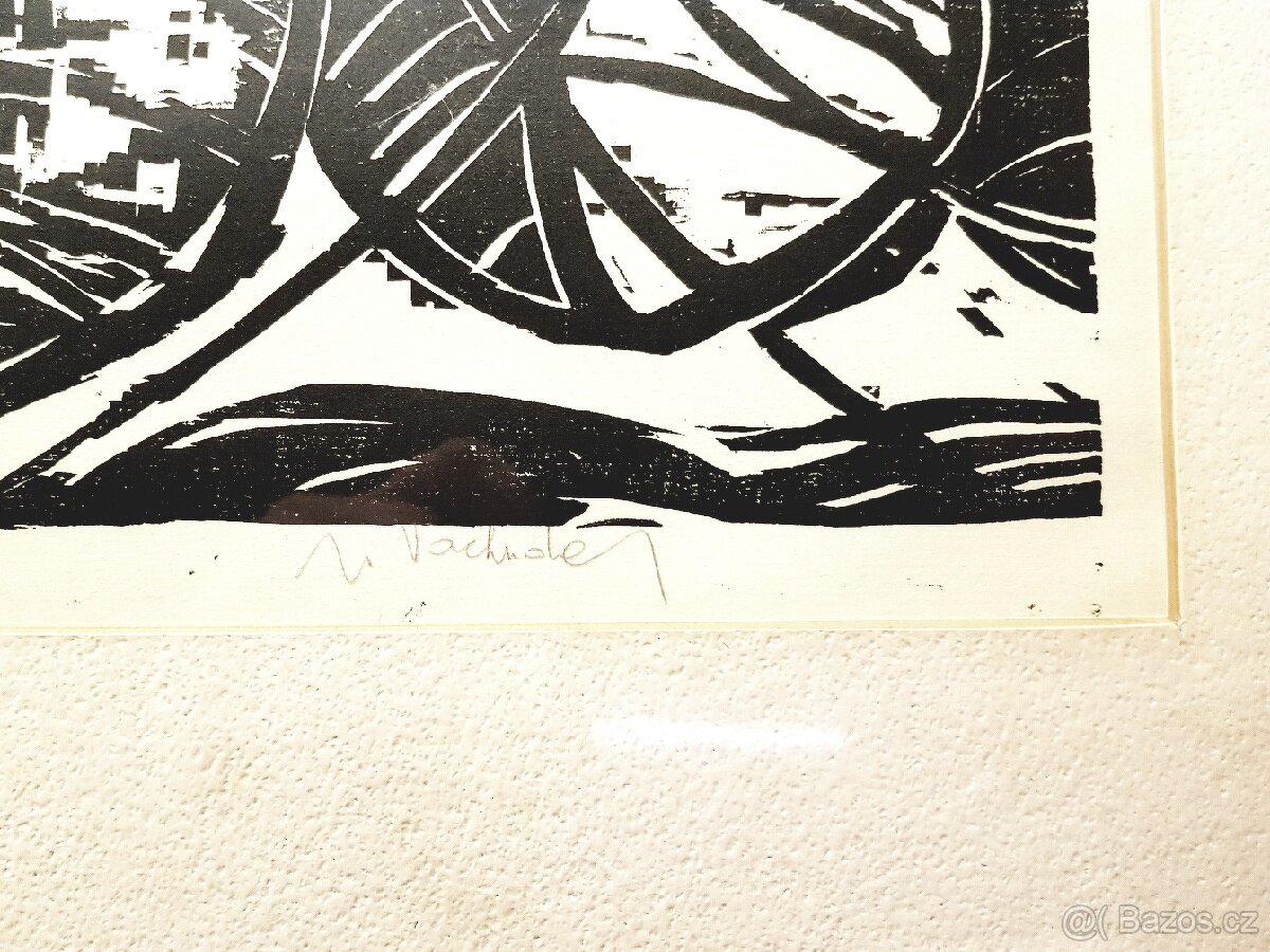 Obraz grafika originál 8/200 - 2