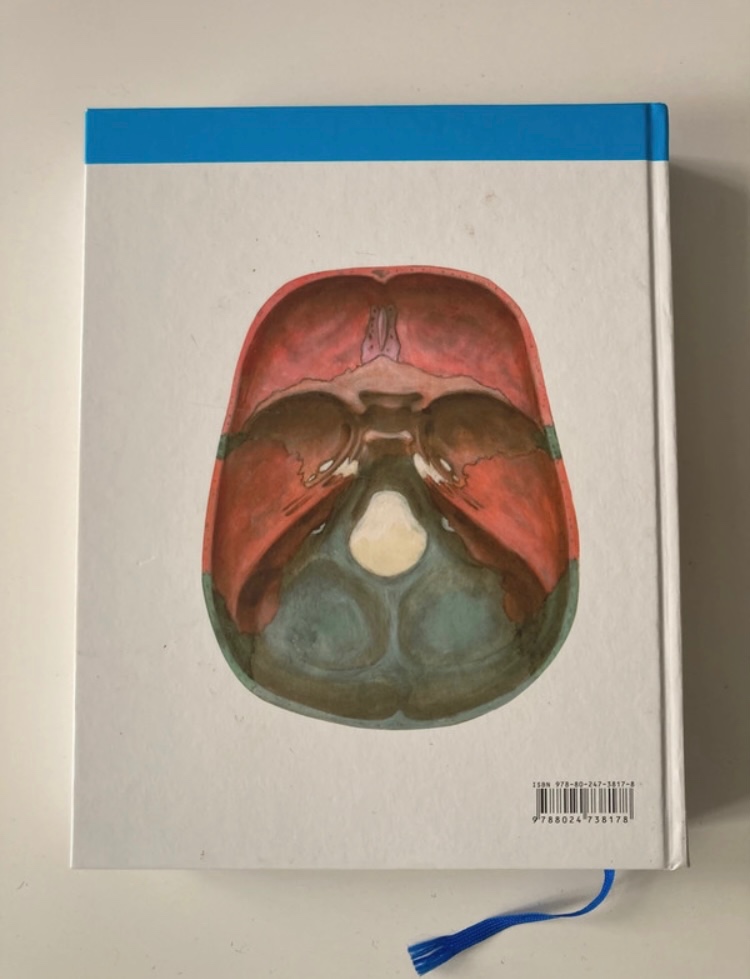 Anatomie l. - Radomír Čihák - 2