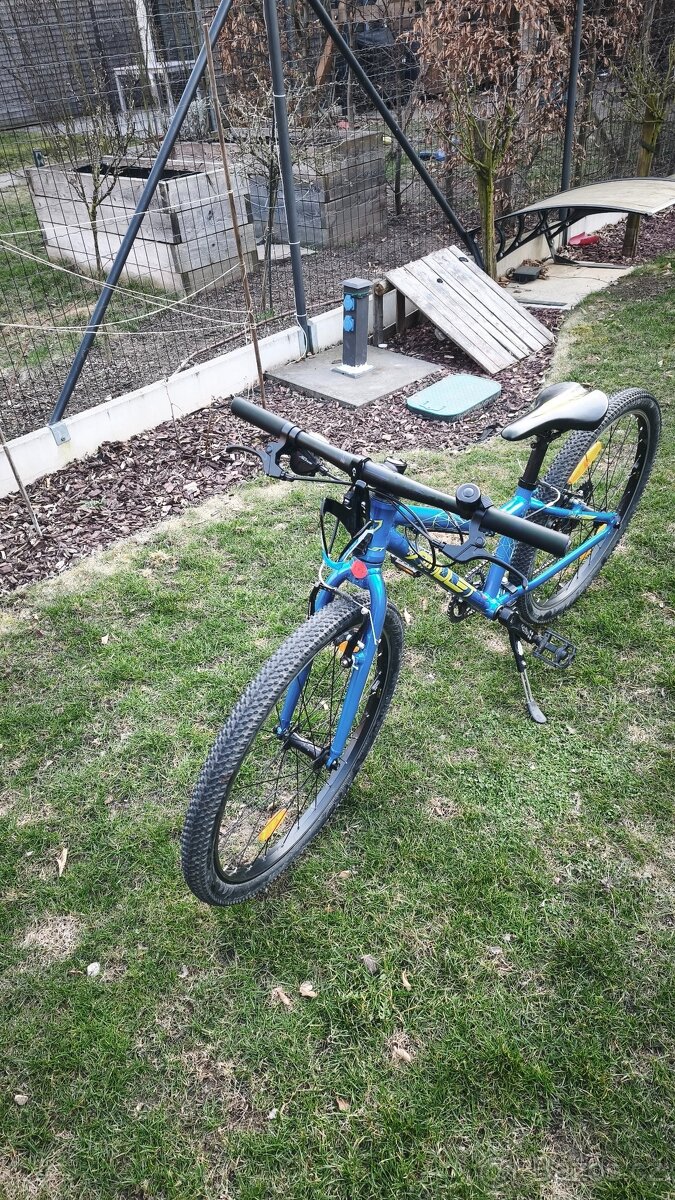 Amulet Tomcat 24" - 2