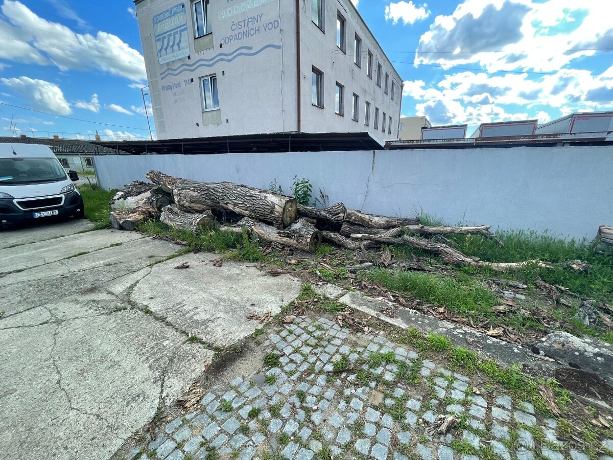 Palivové dřevo, dekorace - 2