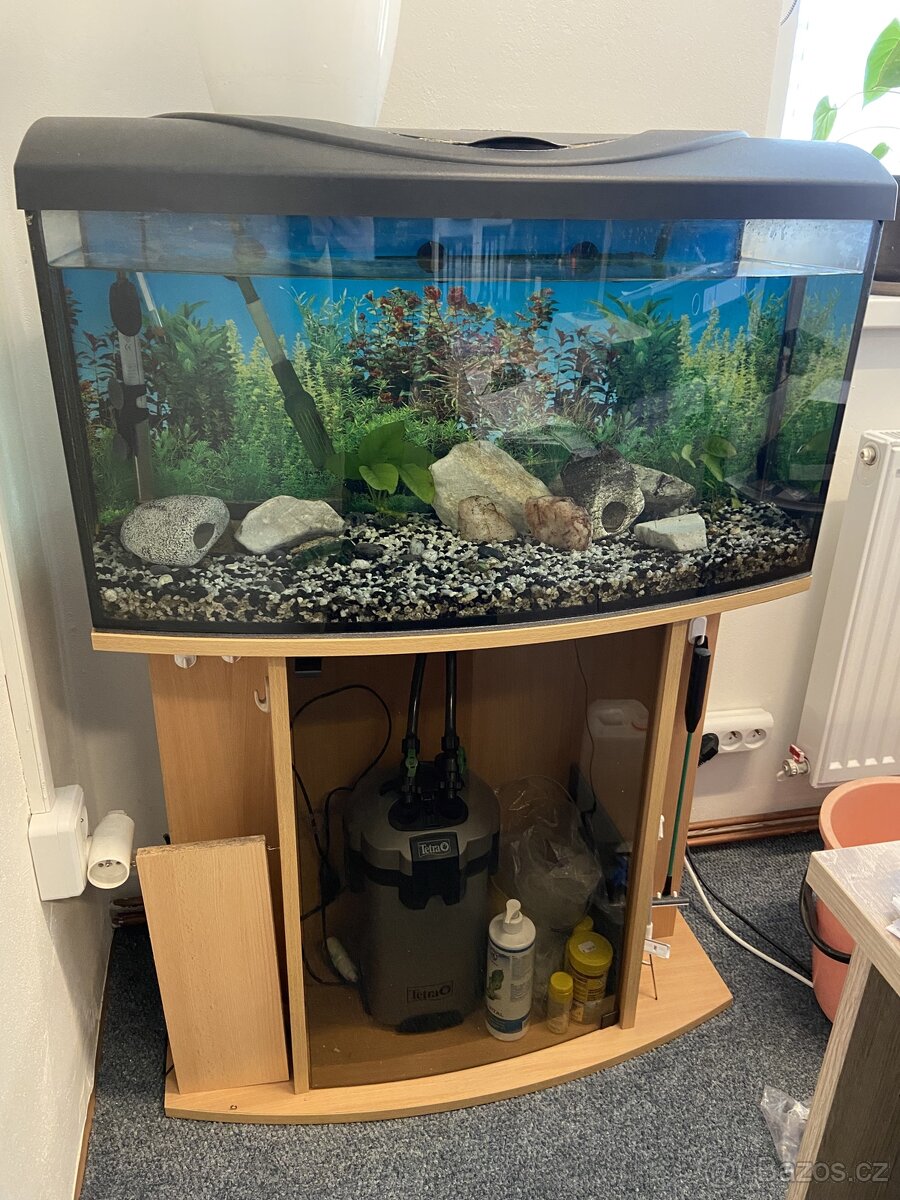 Akvárium Diversa se skříňkou, filtrem a příslušenstvím - 2