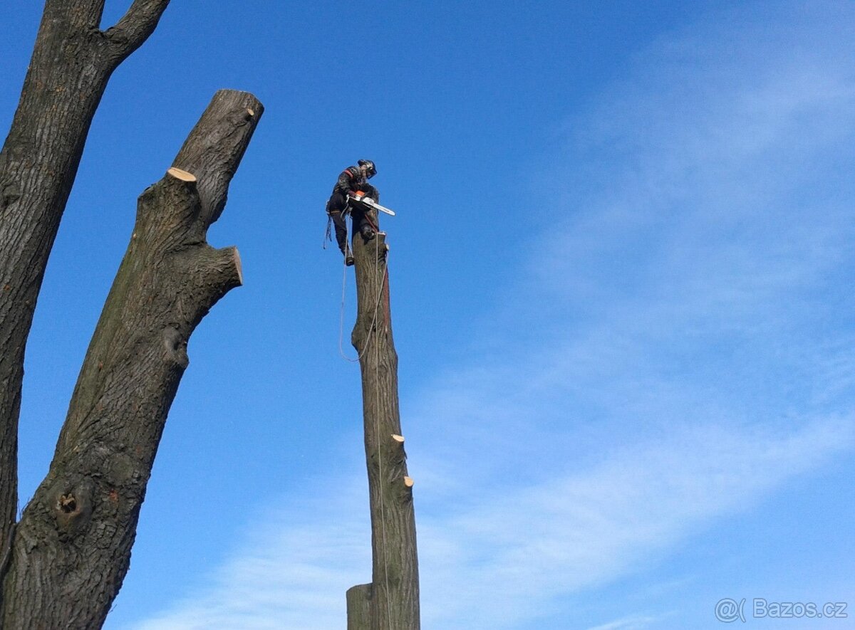 Kácení a ořezy stromů Hranicko - 2