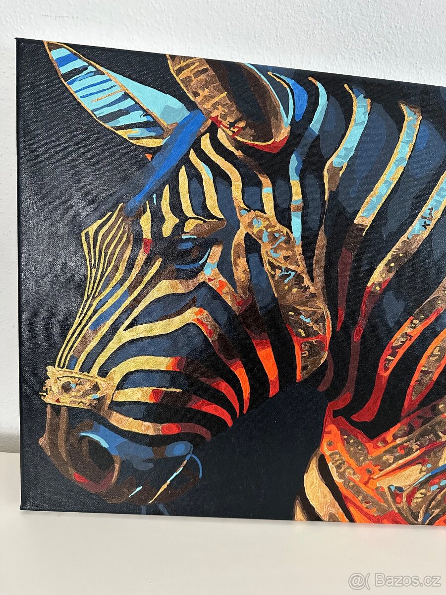 Zebra-akryl na plátně - 2