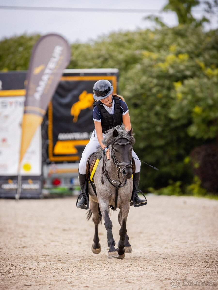 Sportovní pony klisna - 2